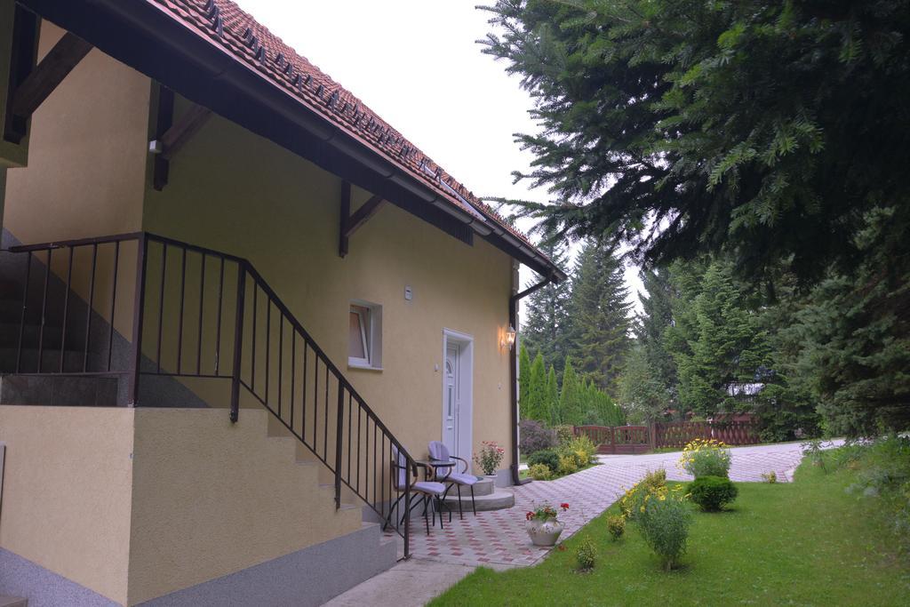 Dobrila Apartments Zlatibor Dış mekan fotoğraf