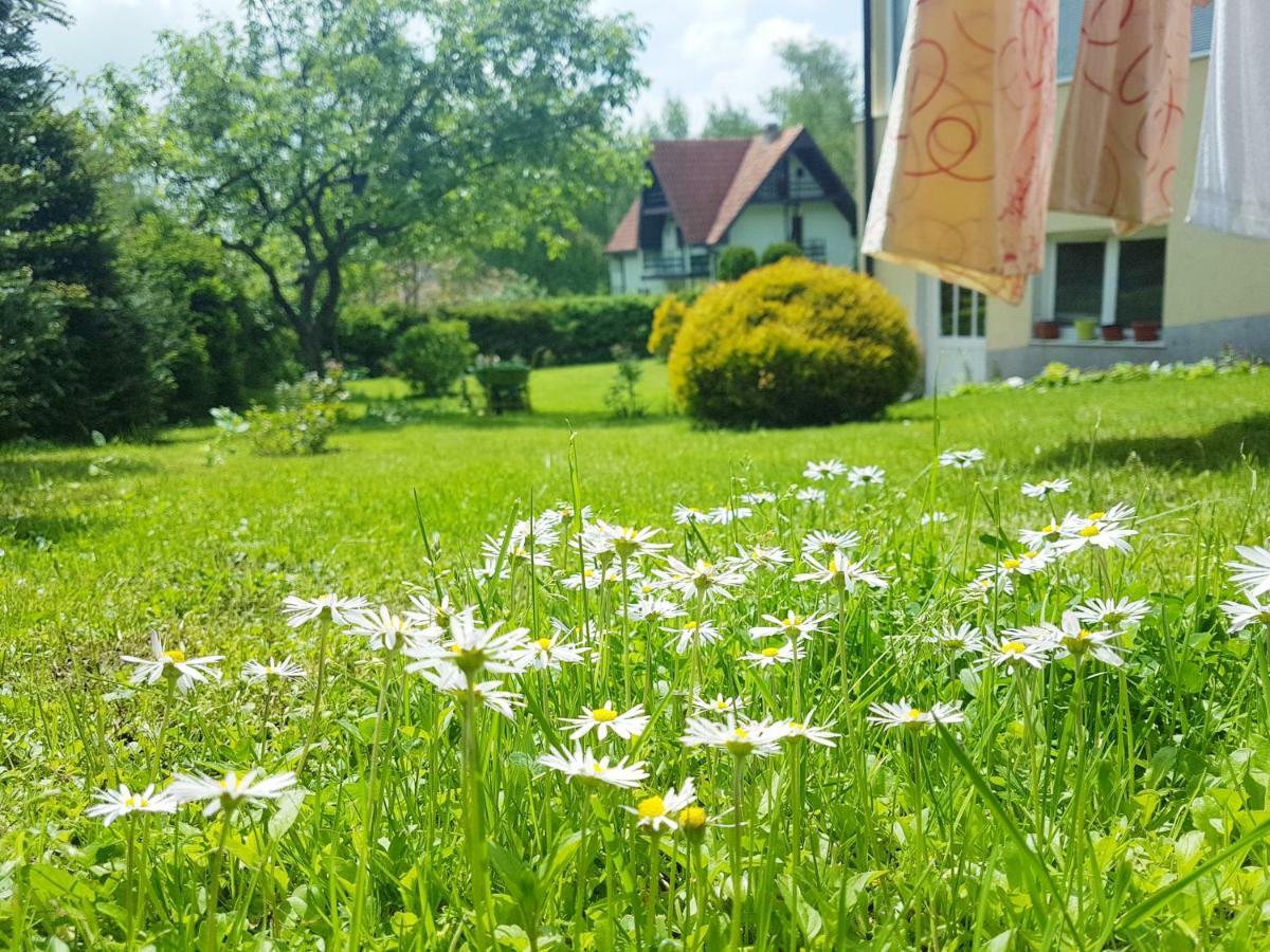 Dobrila Apartments Zlatibor Dış mekan fotoğraf